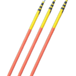 PERTIGA EXTENSIBLE X 4MTS 36KV  2 CUERPOS